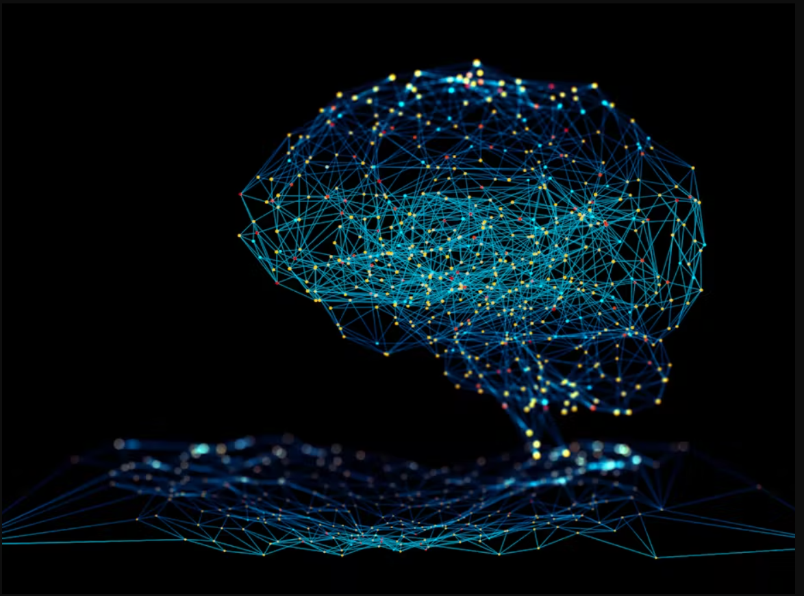 An Image Processing Method: Transfer Learning with Fine Tuning 